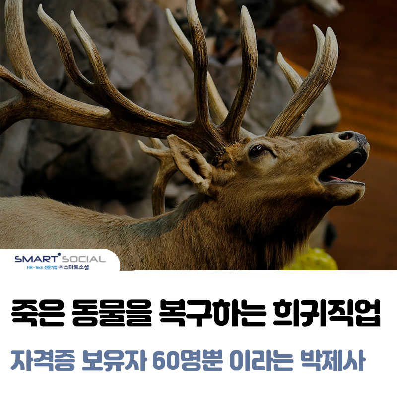 이지정보 썸네일